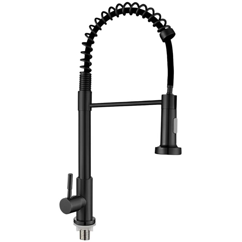 Modern Stainless Steel Single Handle Kitchen Faucet Black Matte Sprayer with 2 Function Pull Tap Single Cold Kitchen Sink Taps