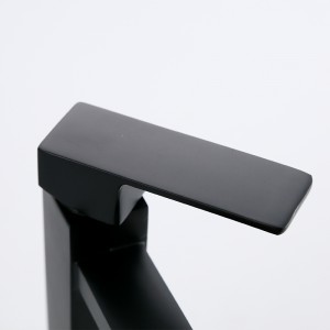 6118-300x300 Rubinetto singolo minimalista per lavabo ad acqua fredda Rubinetto per lavello in zinco nero con nucleo di valvola in ceramica Miscelatore per lavabo per villa e albergo