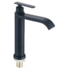 Premier Modern Single-Hole Basin Tap Black Artistic Cold Faucet with Brass Valve Brushed Finish for Hall Applications