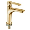 微信图片_20240709134726 304 Stainless Steel Modern Single Handle Single Hole Mount Gold Tall Basin Faucet for Bathroom Single Cold Basin Faucet Tap