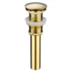 金色无孔 Modern 201 Stainless Steel Basin Drain Plug for Sink Floor Drainer with Strainer for Bathroom Use (Bouchon de vidange en acier inoxydable pour évier et siphon de sol pour salle de bain)
